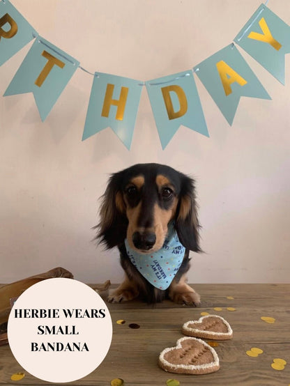 “Barkday” Bandanas - “Barkday” - The Dotty Dog Co