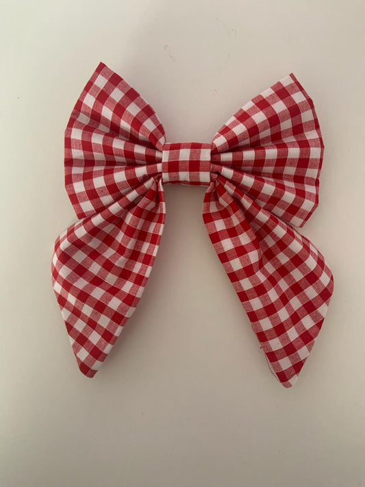 Gimmie Gingham Red - The Dotty Dog Co