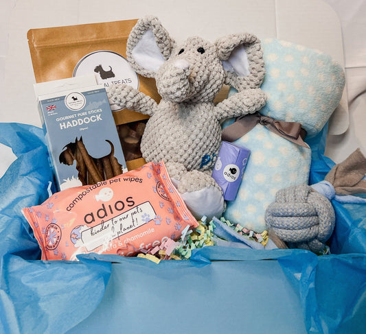 Puppy Hamper Large - The Dotty Dog Co